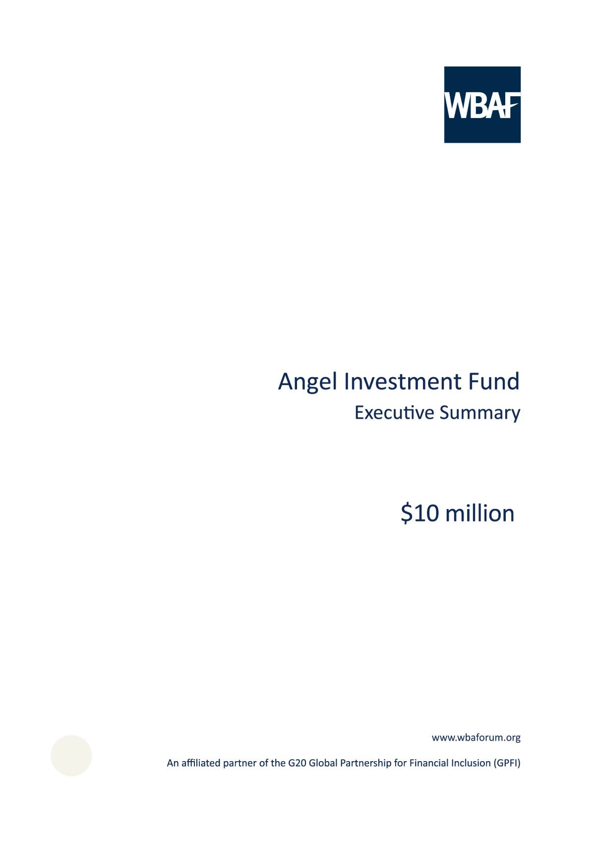 Angel Investment Fund - Executive Summary